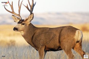 Birchwood Casey 37481 EZE-Scorer Whitetail Deer Paper Hanging 23″ x 35″ Multi-Color 2 Per Pkg