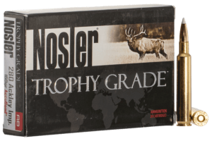 Nosler 60076 Trophy Grade 280 Ackley Improved 160 gr AccuBond 20rd Box