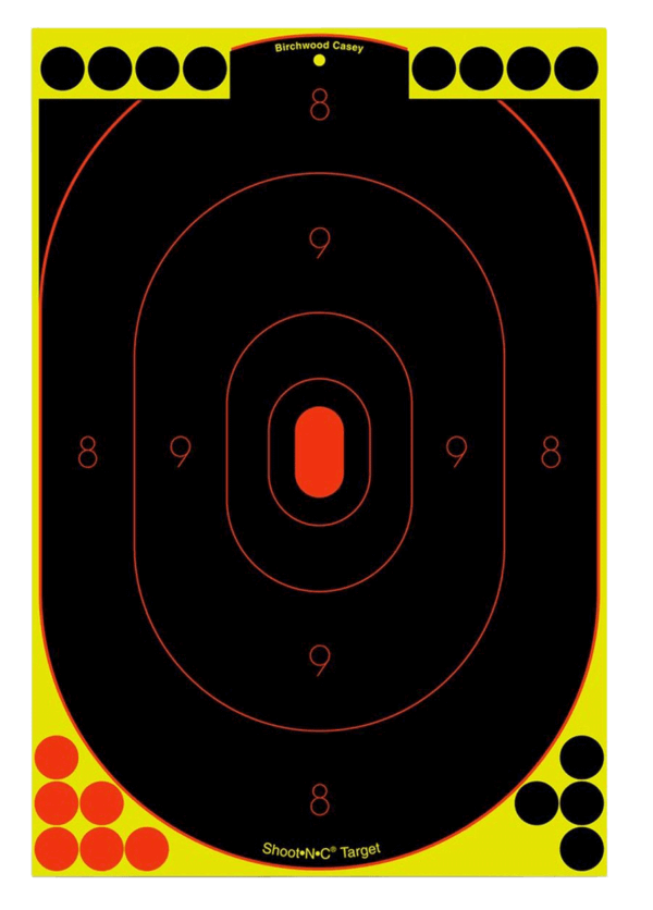 Champion Targets 45802 VisiShot Interactive Paper Bullseye Black/White 10 Per Pkg