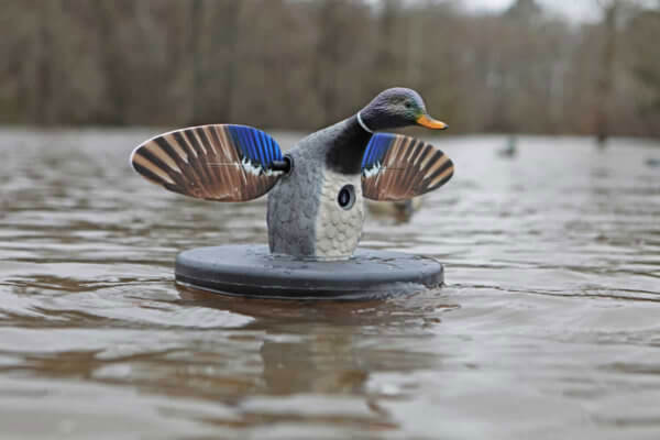 Mojo Outdoors HW2494 Elite Series Drake Floater Mallard Species Multi Color Plastic Features Remote Control