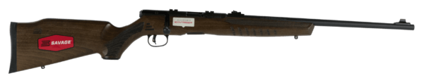 Savage Arms 70810 B17 G Bolt Action 17 HMR Caliber with 10+1 Capacity 21″ Barrel Matte Blued Metal Finish & Satin Hardwood Stock Right Hand (Full Size)