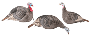HS Strut 100006 Strut-Lite Flock Wild Turkey Species Multi Color Synthetic 3 Per Pack