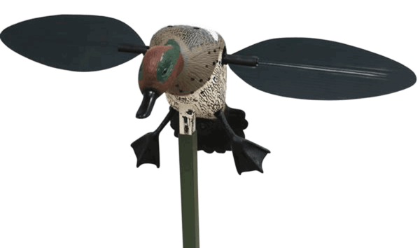 Mojo Outdoors HW8101 Decoy Teal Greenwing Drake Species Multi Color Synthetic
