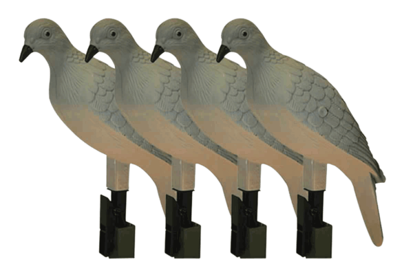 Mojo Outdoors HW9004 Clip On Dove Species Natural Plastic 4 Per Pack