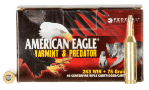 Federal AE24375VP American Eagle Varmint & Predator 243 Win 75 gr Jacketed Hollow Point (JHP) 40 Rd Box / 5 Cs