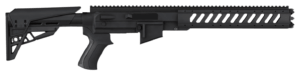 Advanced Technology B2102210 Ruger AR-22 Rifle Polymer/Aluminum Black