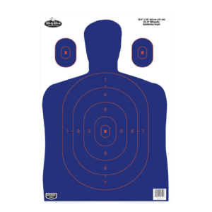 Birchwood Casey 35828 Dirty Bird Bullseye Tagboard Hanging Pistol/Rifle Black/Green 20 Per Pkg