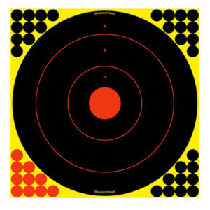 Birchwood Casey 34170 Shoot-N-C Bull’s-Eye Bullseye Paper Target 17.25″ 100 Per Pack
