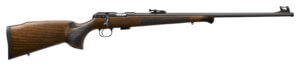 Rossi RL22181WD Rio Bravo  Lever Action 22 LR Caliber with 15+1 Capacity  18 Round Barrel  Polished Black Metal Finish & German Beechwood Stock Right Hand (Full Size)”