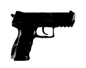 HK 81000106 P30 V1 Light LEM 9mm Luger 3.85″ 10+1 (3) Black Black Steel Slide Black Interchangeable Backstrap Grip Night Sights