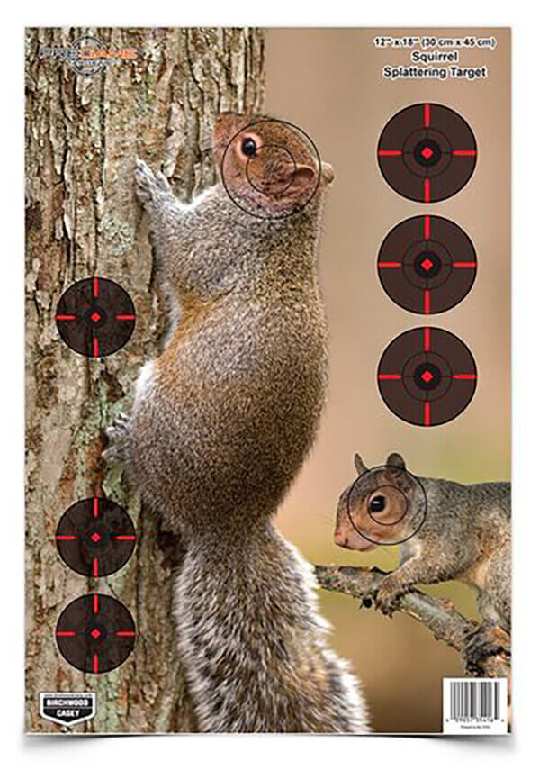 Birchwood Casey 35406 Pregame Squirrel Paper Hanging Rifle 12″ x 18″ Impact Enhancement Yes 8 Per Pkg