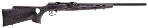 Savage Arms 47800 A17 Sporter Semi-Auto 17 WSM Caliber with 8+1 Capacity 22″ Barrel Satin Black Metal Finish & Fixed Thumbhole Gray Laminate Stock Right Hand (Full Size)