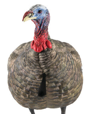 Avian X AVXAVX8107 HDR Feeder Hen Turkey Species Multi-Color