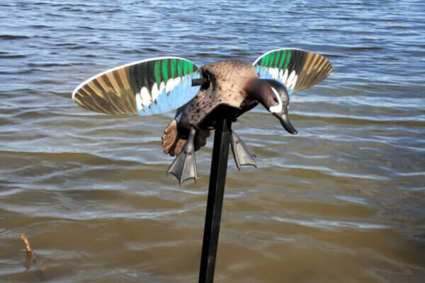 Mojo Outdoors HW2475 Elite Series Blue Wing Teal Duck Species Multi Color Plastic Features Remote Control
