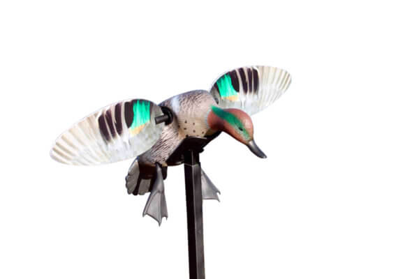 Mojo Outdoors HW2474 Elite Series Green Winged Teal Duck Species Natural Molded Plastic Features Remote Compatible
