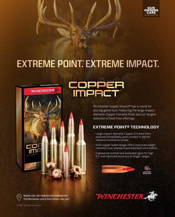 Winchester Ammo X243CLF Copper Impact 243 Win 85 gr Copper Extreme Point Lead-Free 20rd Box