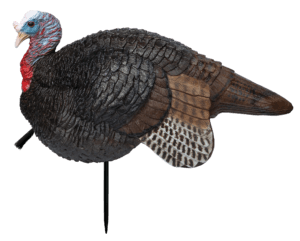 Primos 69075 Lil’ Gobblestopper Jake & Hen Combo Turkey Species Multi Color