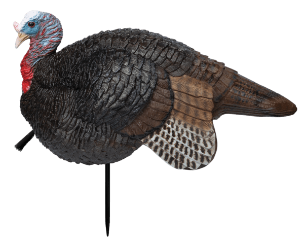 Primos 69074 Lil’ Gobstopper Jake Turkey Species Multi Color