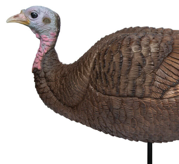 Primos 69073 Lil Gobstopper Hen Turkey Species Multi Color