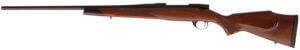 Winchester Repeating Arms 525200102 Xpert 22 LR 10+1 18″ Matte Black Barrel/Rec Gray Fixed Skeletonized Stock Detachable Mag