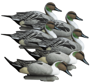 Higdon Outdoors 16544 Battleship Pintail Pintail Species Multi Color Foam Filled 6 Pack