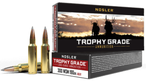 Nosler 60129 Trophy Grade Long-Range Hunting 300 RUM 210 gr Nosler Spitzer AccuBond-Long Range (SABLR) 20rd Box