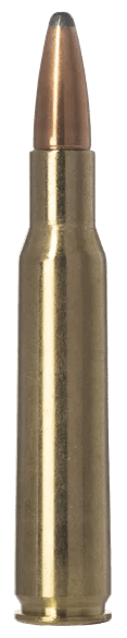 Norma Ammunition 20156502  Tipstrike 204 Ruger 40 gr V-Max 20 Per Box/ 10 Case