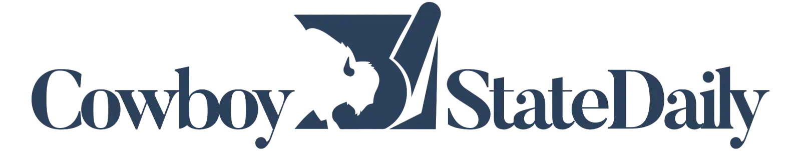 U.S. Court of Appeals for the Tenth Circuit building with American flag and Second Amendment imagery overlay